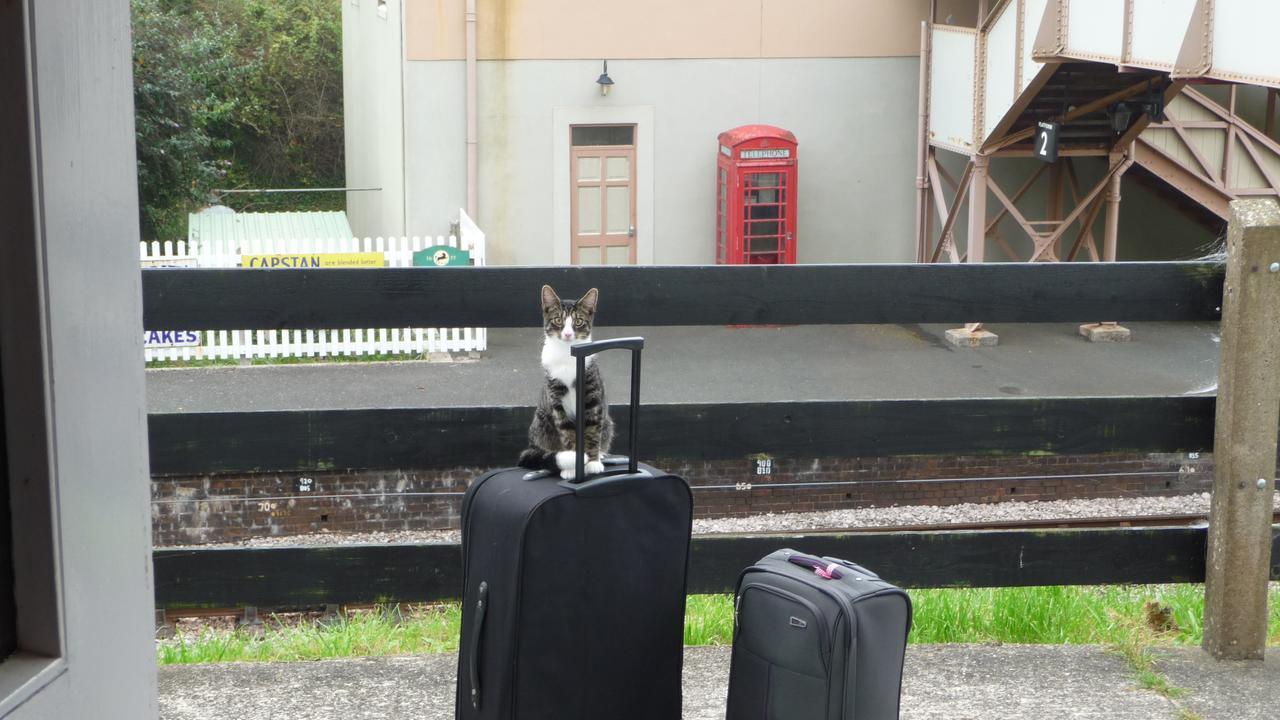 The Station Guest House Galmpton Luaran gambar